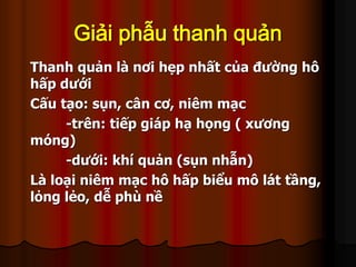 Giải phẫu thanh quản
Thanh quản là nơi hẹp nhất của đường hô
hấp dưới
Cấu tạo: sụn, cân cơ, niêm mạc
-trên: tiếp giáp hạ họng ( xương
móng)
-dưới: khí quản (sụn nhẫn)
Là loại niêm mạc hô hấp biểu mô lát tầng,
lỏng lẻo, dễ phù nề
 
