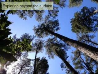 Exploring beyond the surface
 