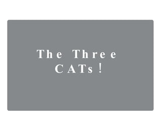 The Three CATs! 