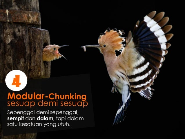 Modul Jarak Jauh yang Membelajarkan