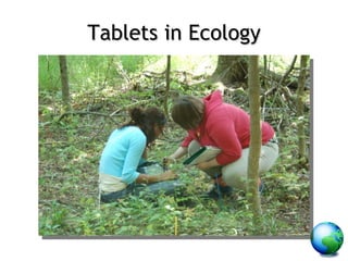 Tablets in Ecology 