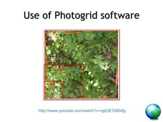 Use of Photogrid software http://www.youtube.com/watch?v=sgtUE7dSh6g 25% 5% 