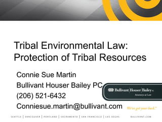 Tribal Environmental Law:  Protection of Tribal Resources Connie Sue Martin Bullivant Houser Bailey PC (206) 521-6432 [email_address] 