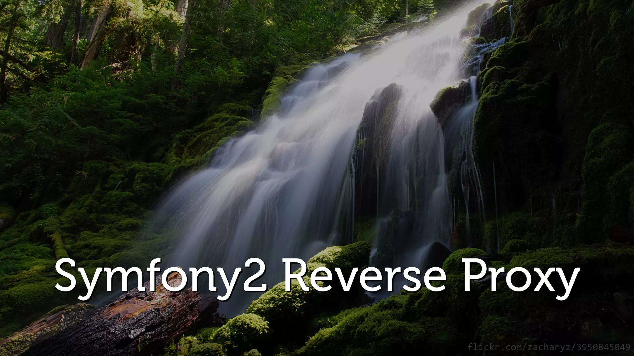 Symfony2 Reverse Proxy flickr.com/zacharyz/3950845049 