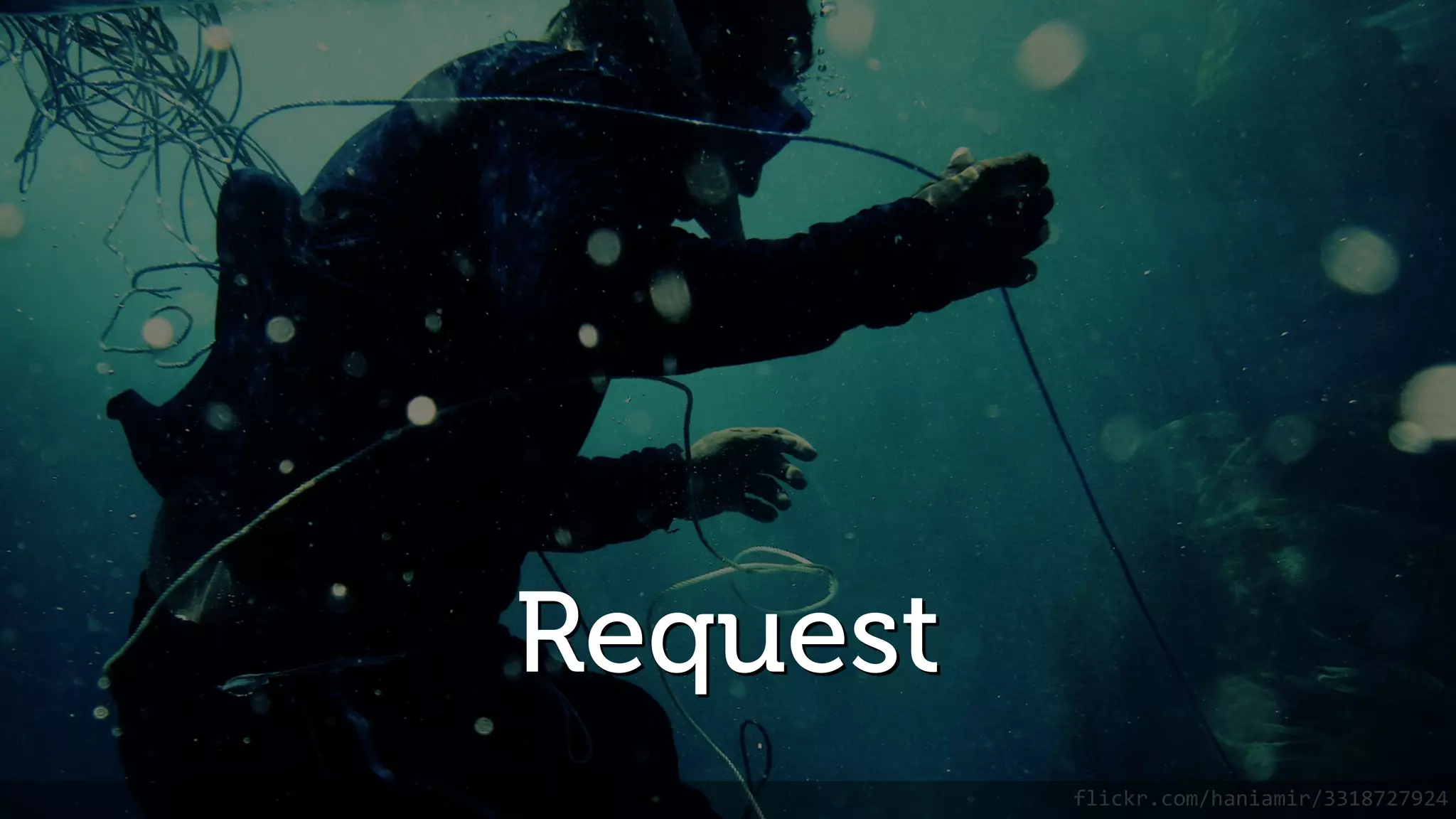 Request flickr.com/haniamir/3318727924 