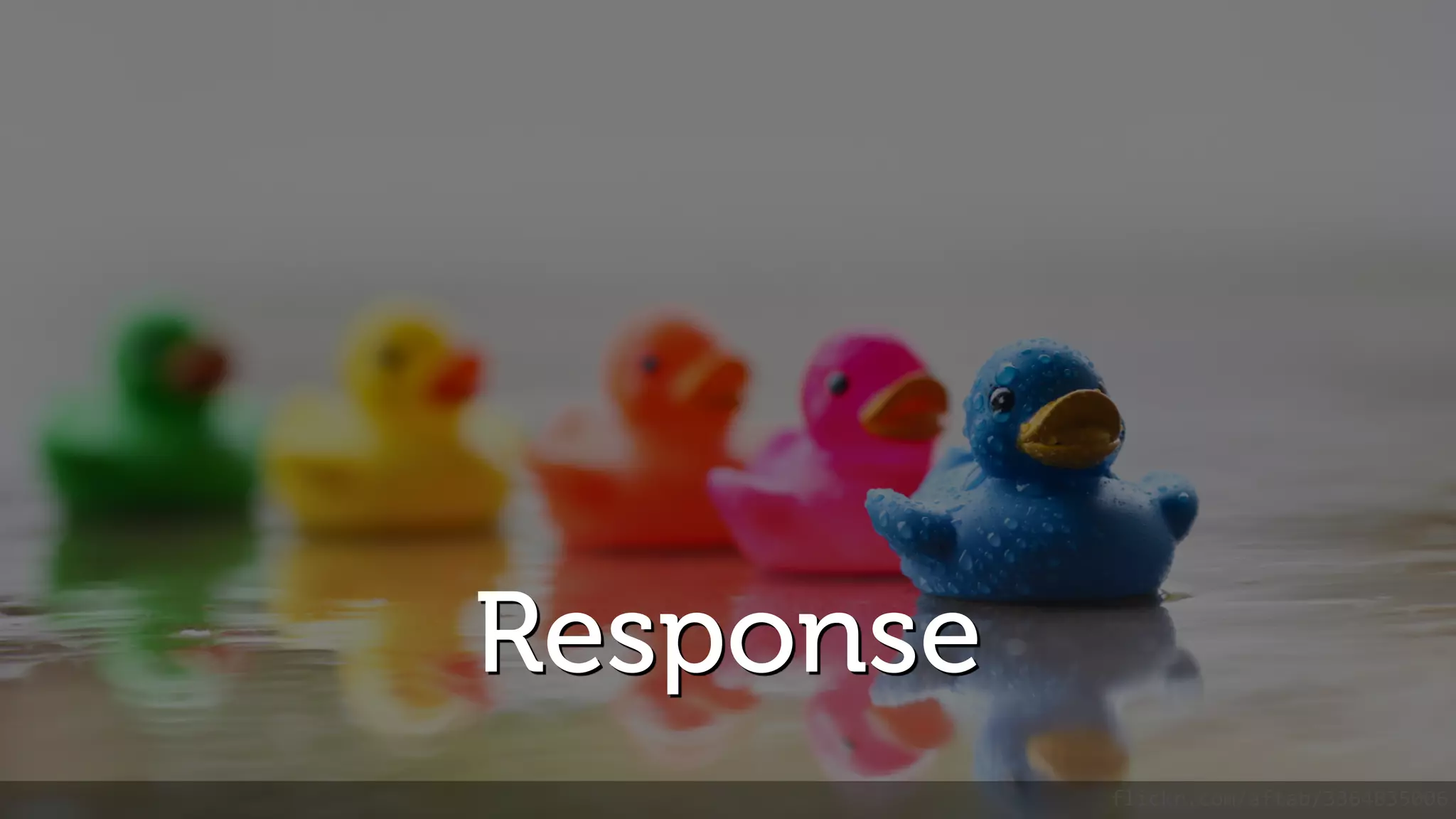 Response flickr.com/aftab/3364835006 