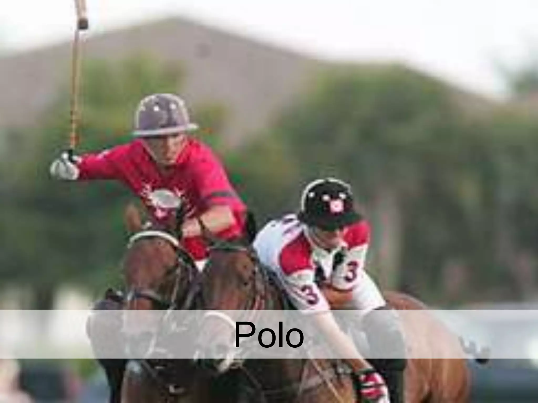 @txtbks | sparcopen.org
Polo
 