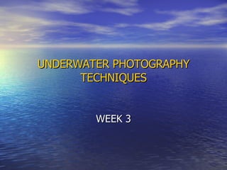 UNDERWATER PHOTOGRAPHY TECHNIQUES WEEK 3 