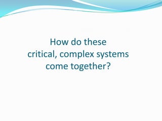 How do these
critical, complex systems
come together?
 