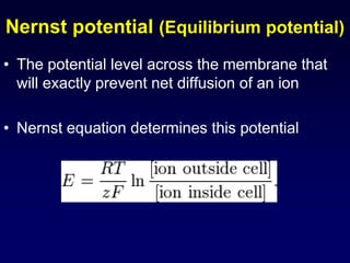 Nerve and Resting Membrane and Action Potentials | PPT