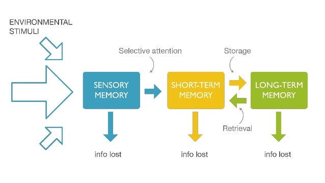 Remember this: A beginner’s guide to memory and design