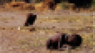 ©copyrightux-republic2015-blog.ux-republic.com-ThibautTanguy
 