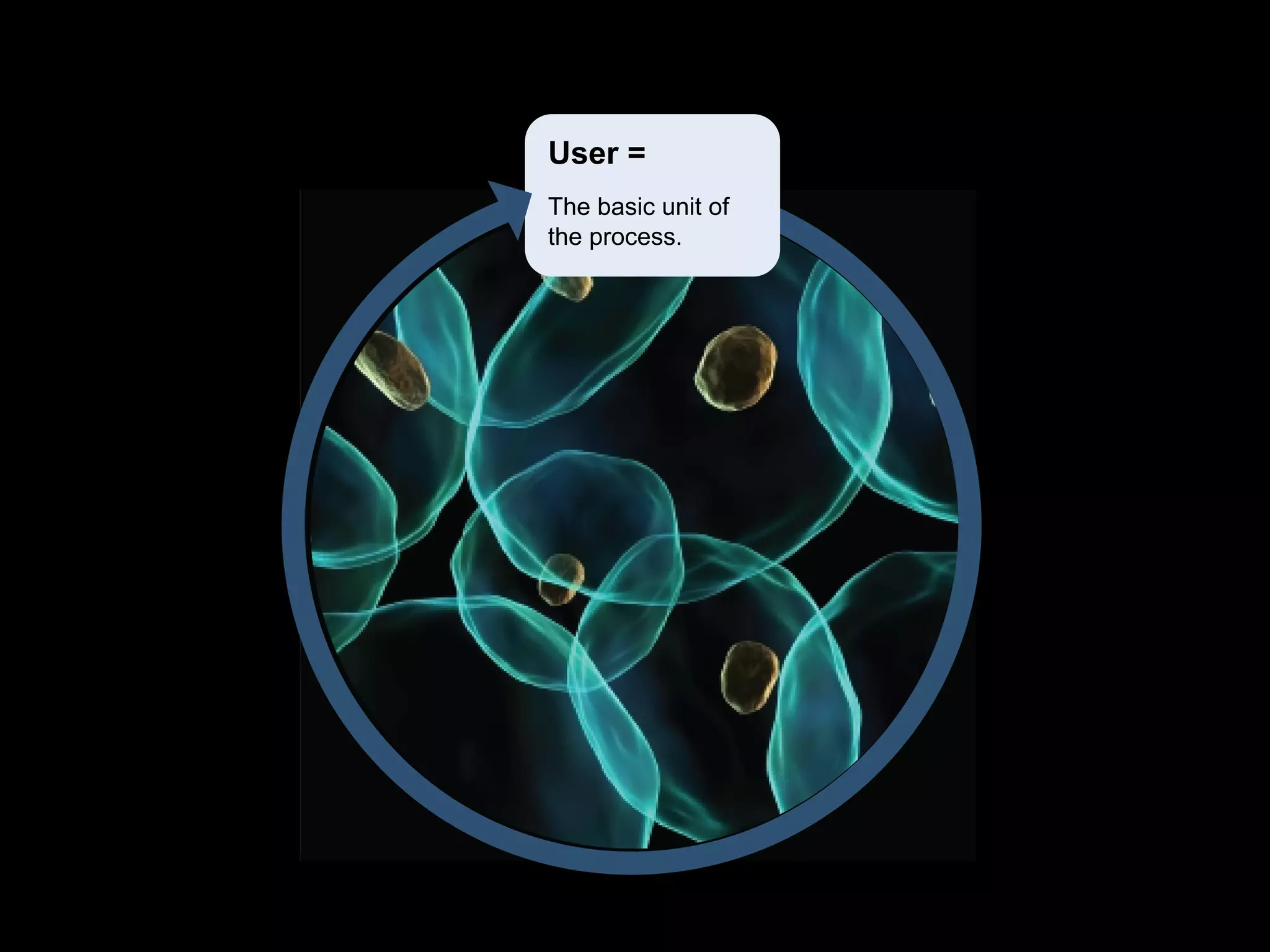 User =
The basic unit of
the process.
 