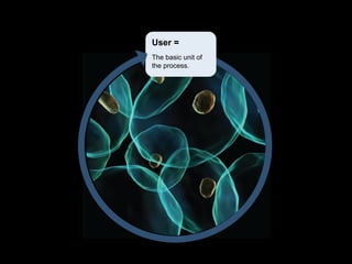 User =
The basic unit of
the process.
 