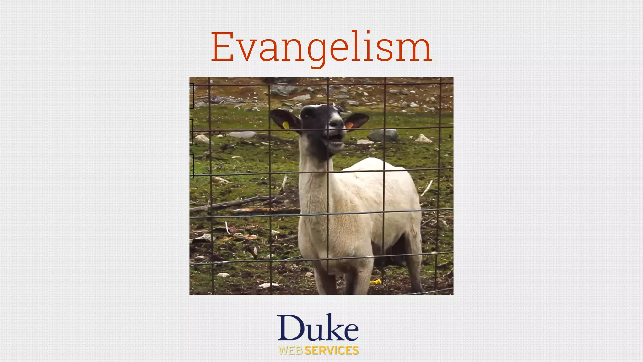 Evangelism
 