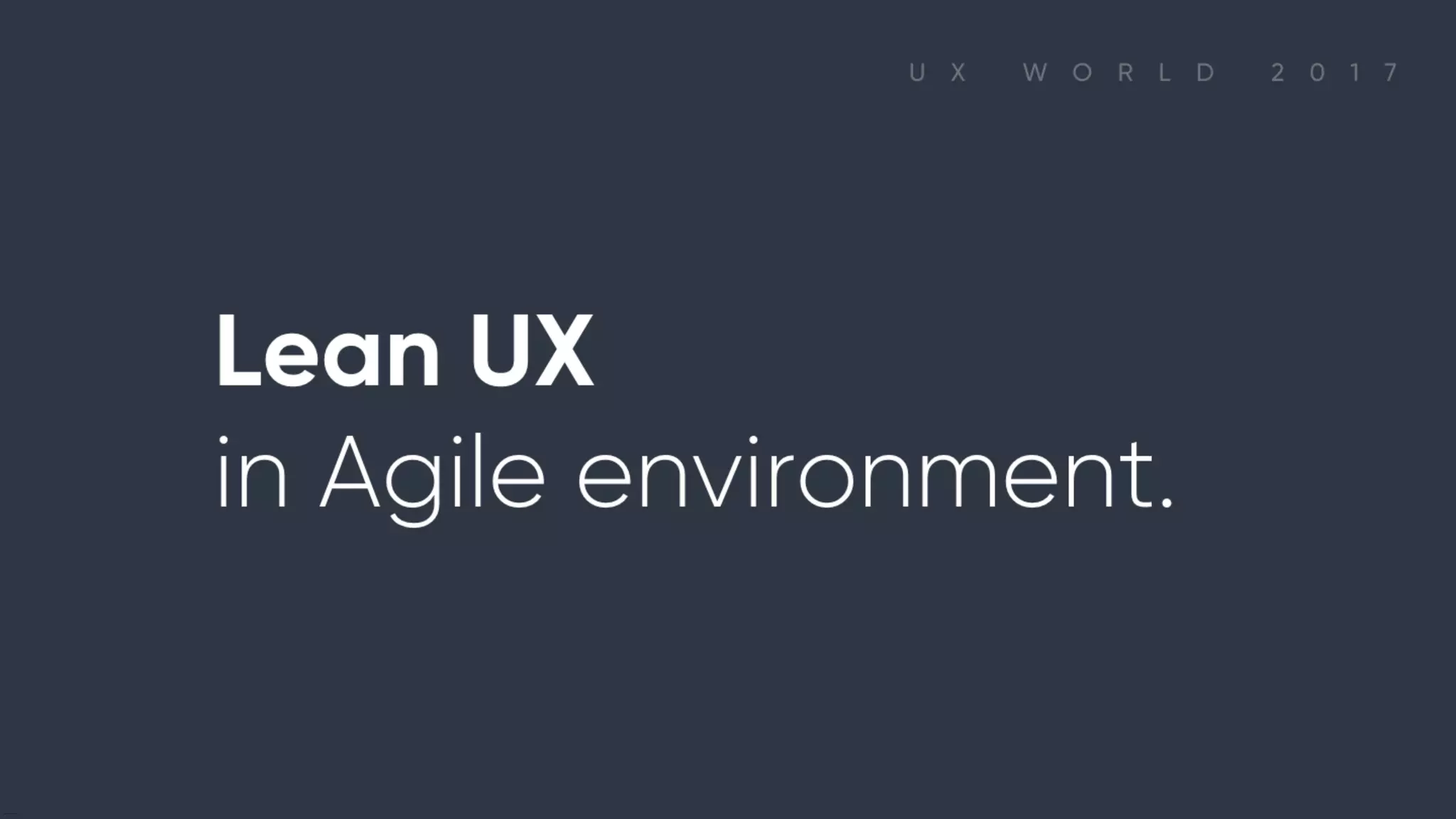 Lean UX in Agile environment.
 