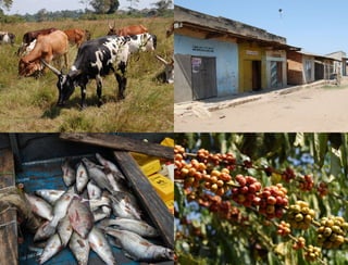 Hypothesis vs. Agenda 