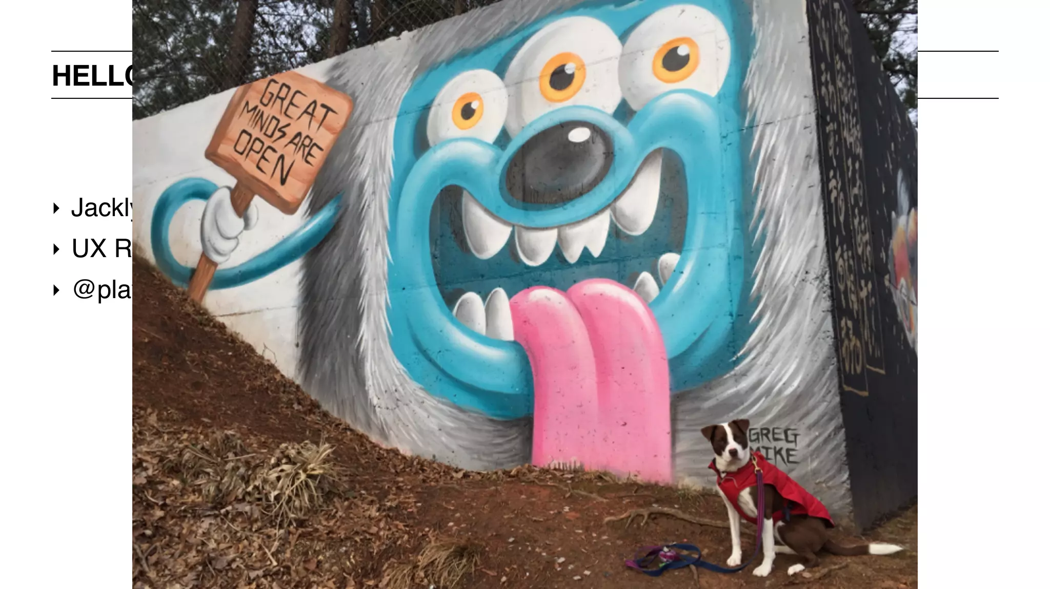 ‣ Jacklyn Burgan
‣ UX Researcher + Strategist
‣ @playfulpixel // @LadiesThatUXATL
HELLO
 