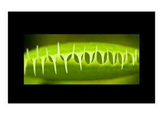 Dark Patterns: User Interfaces Designed to Trick People (Presented at UX Brighton 2010)