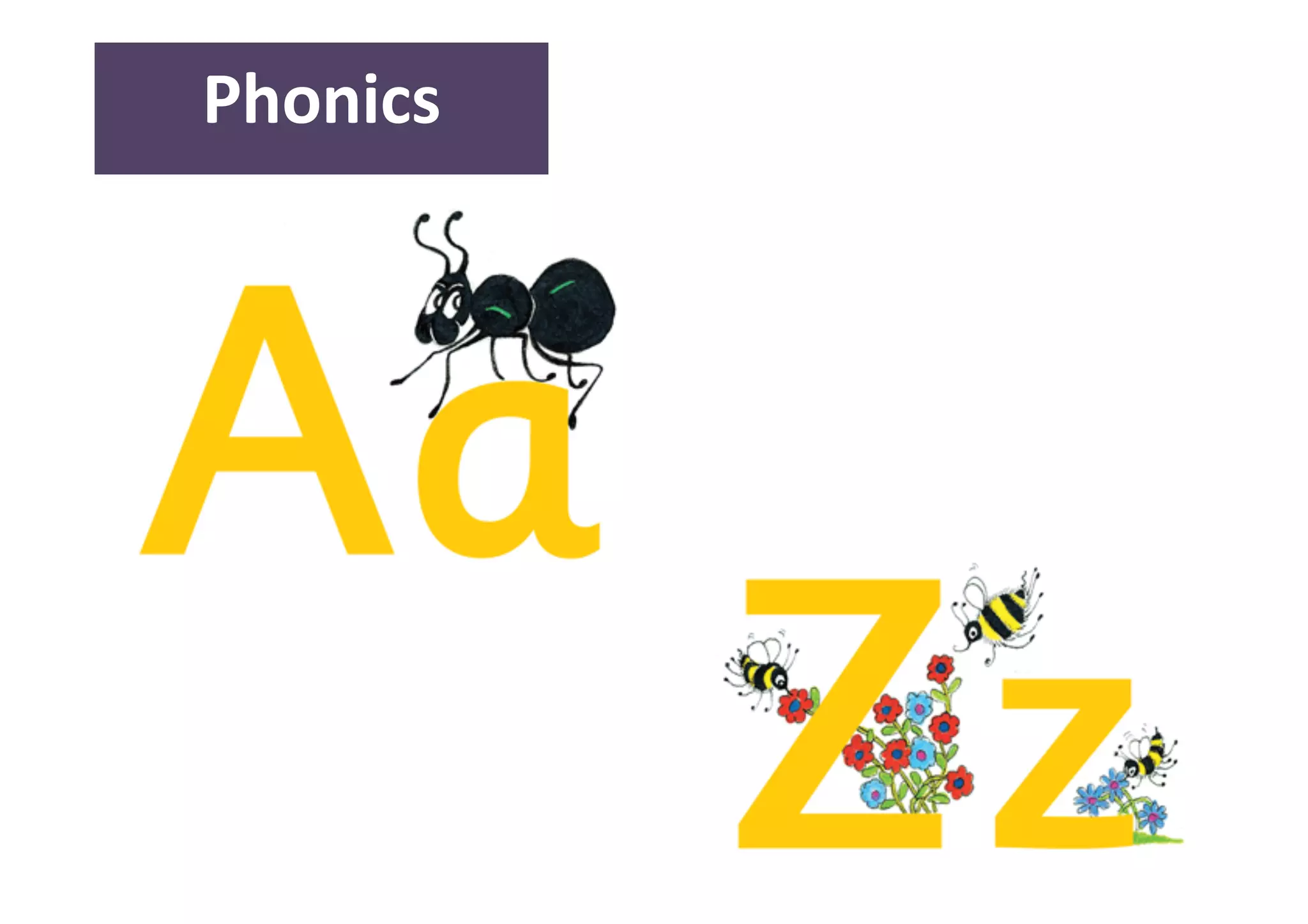 12 
Phonics 
 