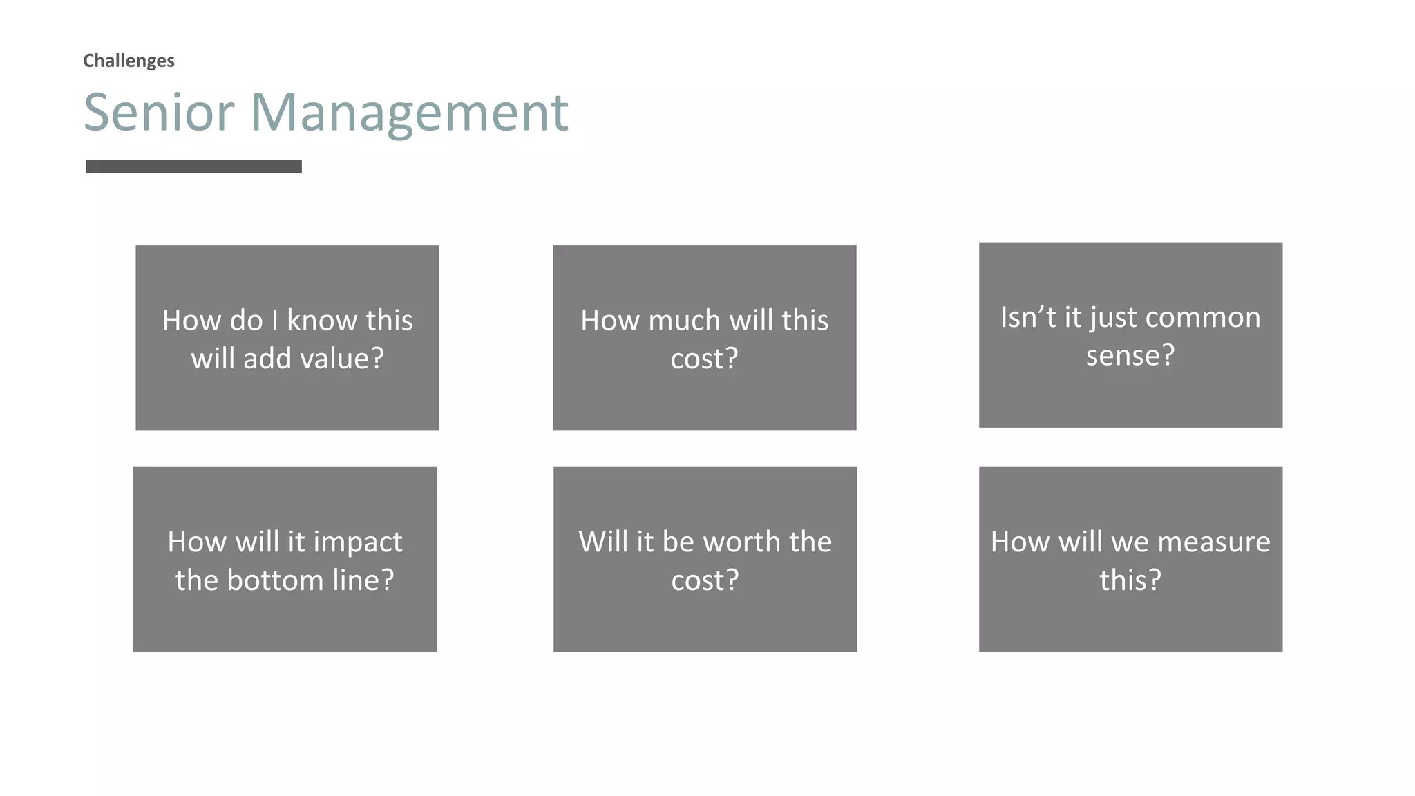 Senior Management
Challenges
How do I know this
will add value?
How much will this
cost?
Isn’t it just common
sense?
Will it be worth the
cost?
How will we measure
this?
How will it impact
the bottom line?
 
