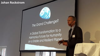 Johan Rockstrom
 