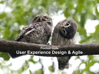 Practical Guide
User Experience Design & Agile
 