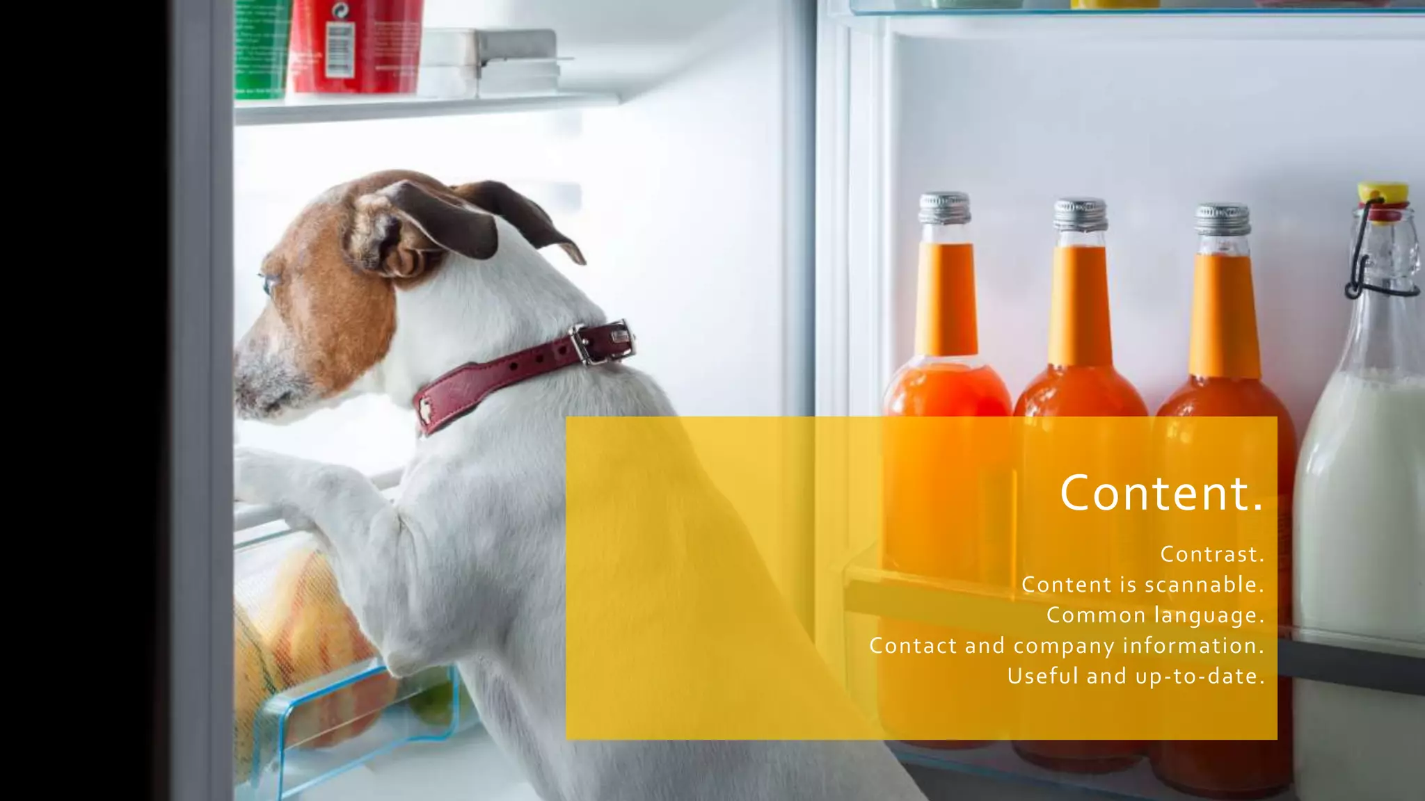 Content.
Contrast.
Content is scannable.
Common language.
Contact and company information.
Useful and up-to-date.
 