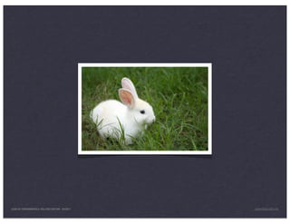 LEAN UX FUNDAMENTALS, KELLOGG EDITION 04/2011   JANICE@LUXR.CO
 