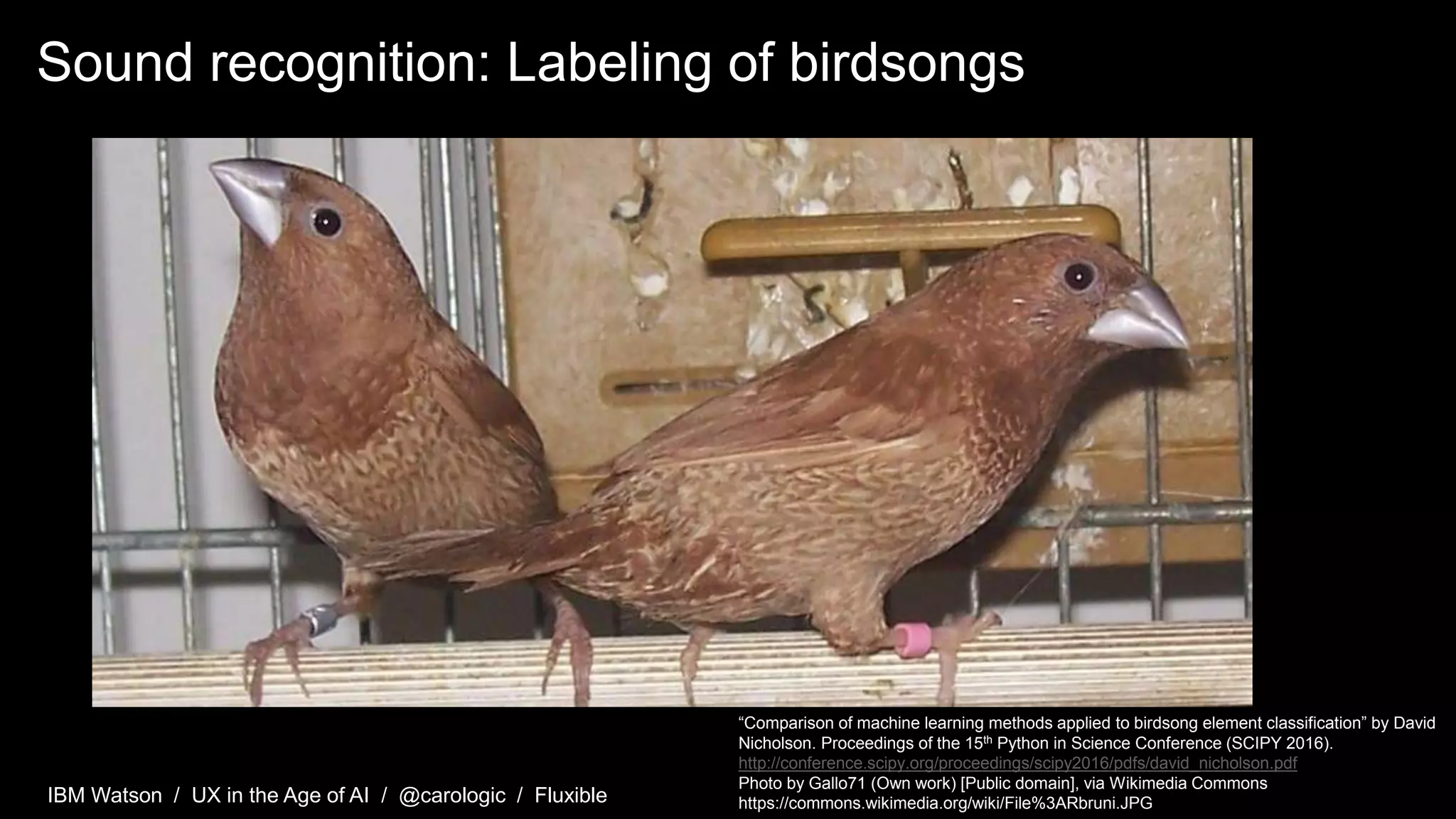 IBM Watson / UX in the Age of AI / @carologic / Fluxible
Sound recognition: Labeling of birdsongs
“Comparison of machine learning methods applied to birdsong element classification” by David
Nicholson. Proceedings of the 15th Python in Science Conference (SCIPY 2016).
http://conference.scipy.org/proceedings/scipy2016/pdfs/david_nicholson.pdf
Photo by Gallo71 (Own work) [Public domain], via Wikimedia Commons
https://commons.wikimedia.org/wiki/File%3ARbruni.JPG
 