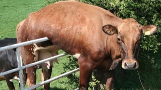 Thank you! 
Jonathan.rubin@gsa.gov 
@jonathan_rubin 
 