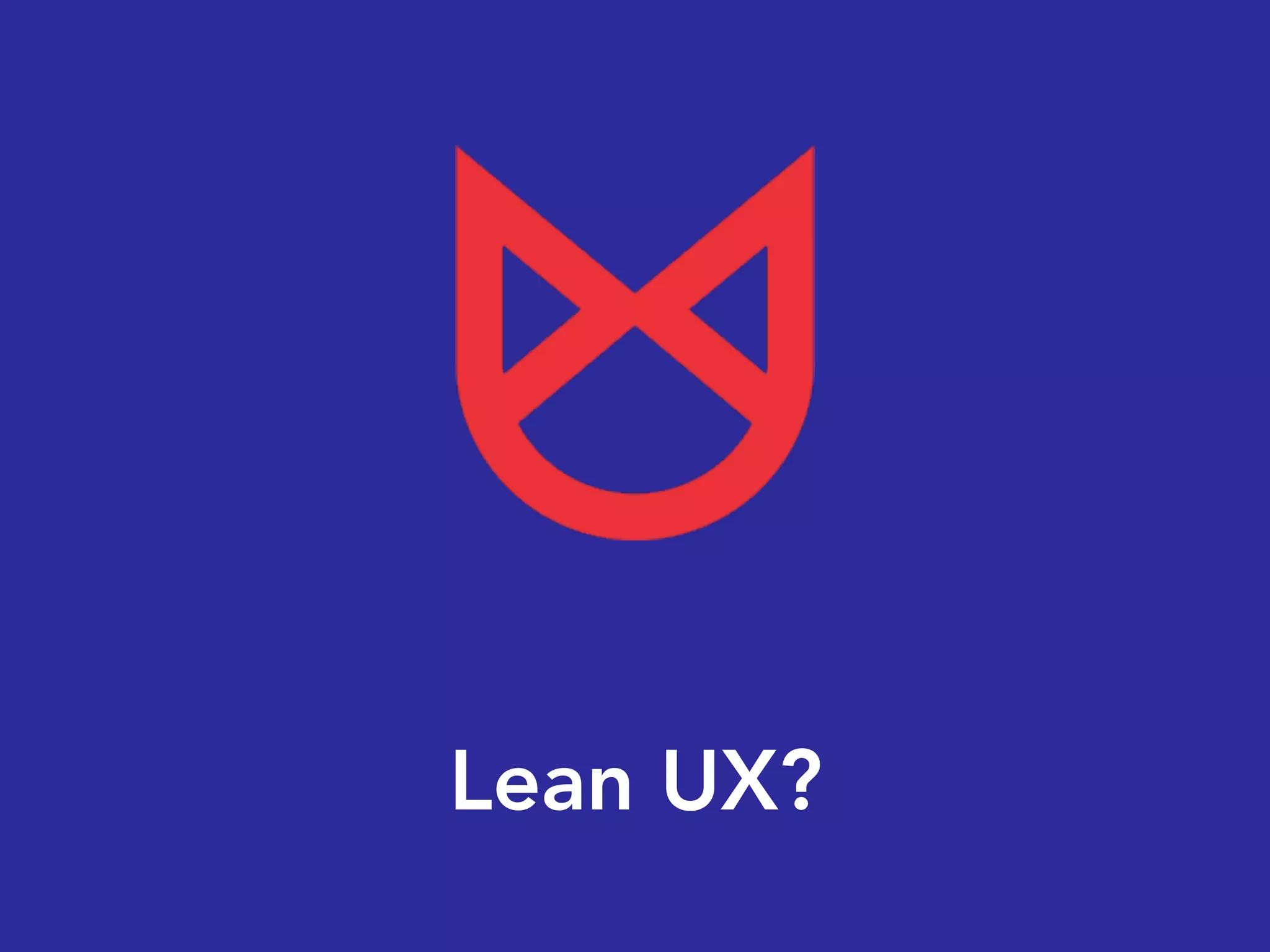 Lean UX?
 