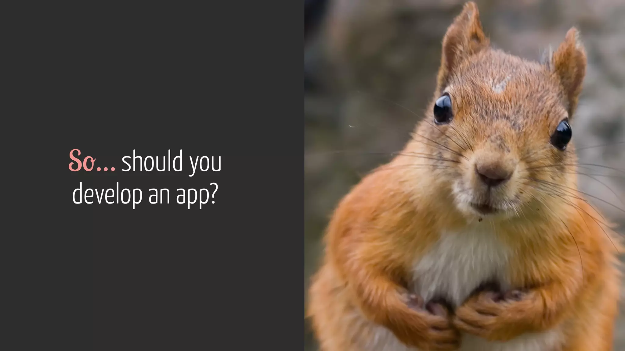So… should you
develop an app?
 