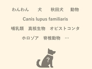 わんわん  犬  秋田犬  動物
Canis lupus familiaris
哺乳類 真核生物 オピストコンタ
ホロゾア 脊椎動物 …
？
 