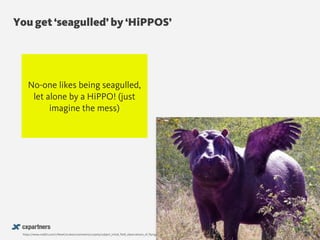 You get ‘seagulled’ by ‘HiPPOS’
@chudders
https://www.reddit.com/r/NewCerulean/comments/27qwl3/subject_initial_field_observations_of_flying/
No-one likes being seagulled,
let alone by a HiPPO! (just
imagine the mess)
 