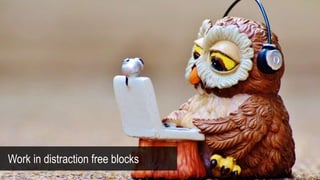 Work in distraction free blocks
 