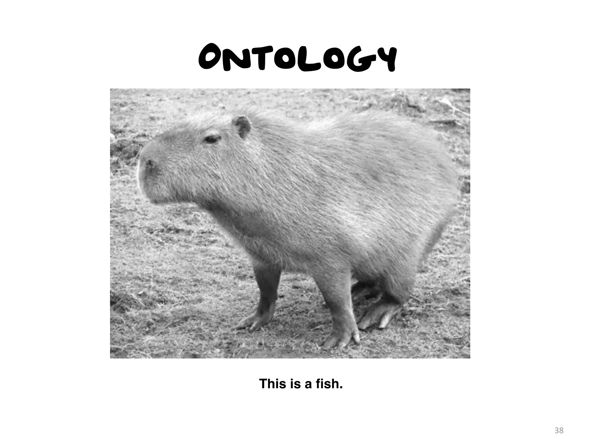 Ontology
38
This is a ﬁsh.
 