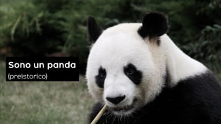 Sono un panda
(preistorico)
 