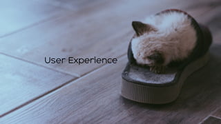 Competenze:
Vedi solo quelle che ti mancano
User Experience
 
