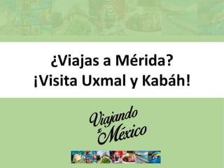 ¿Viajas a Mérida?
¡Visita Uxmal y Kabáh!
 