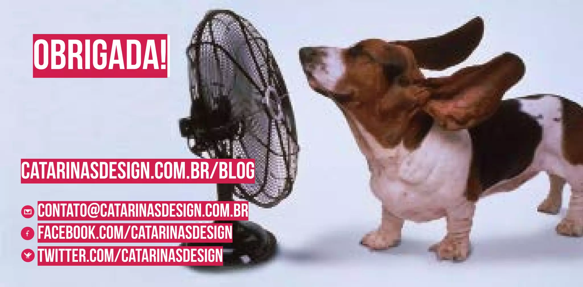 catarinasdesign.com.br/blog
obrigada!
contato@catarinasdesign.com.br
facebook.com/catarinasdesign
twitter.com/catarinasdesign
 