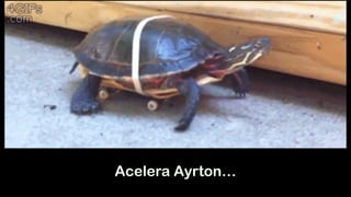Acelera Ayrton…
 