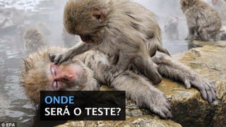 ONDE
SERÁ O TESTE?
 
