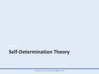 Self-Determination Theory
Overview
Amy Bucher, Ph.D. (amy.bucher@gmail.com)
 