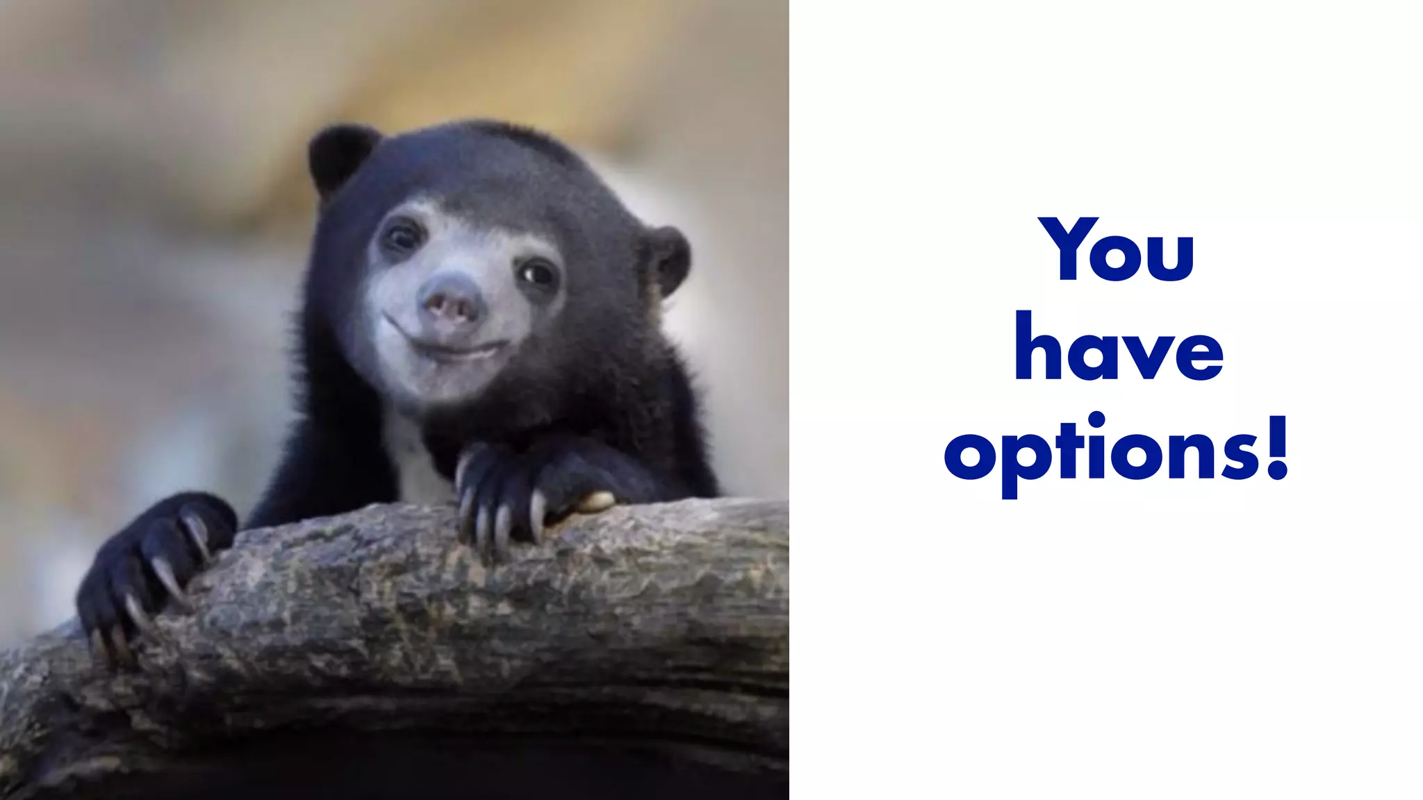 You
have
options!
 