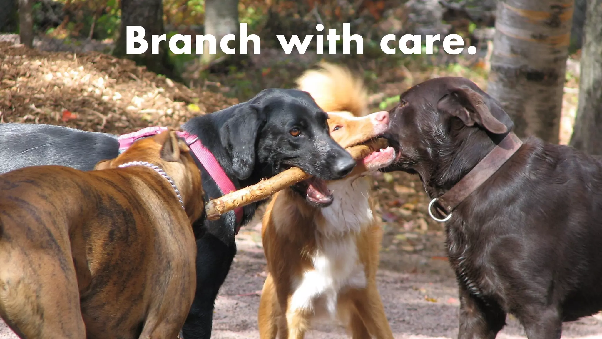Branch with care.
 