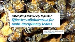 Photo	
  by	
  Mar+n	
  LaBar	
  h/ps://ﬂic.kr/p/ovHV4t
Untangling	
  complexity	
  together	
  
Effective	
  collaboration	
  for	
  
multi-­disciplinary	
  teams
Johanna	
  Kollmann ~ @johannakoll
UX	
  Riga,	
  26	
  Feb	
  2015
 