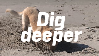 Dig
deeper
 