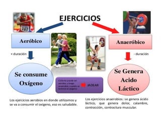Resistencia aerobica