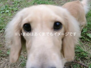 ※いまのはあくまでもイメージです
 